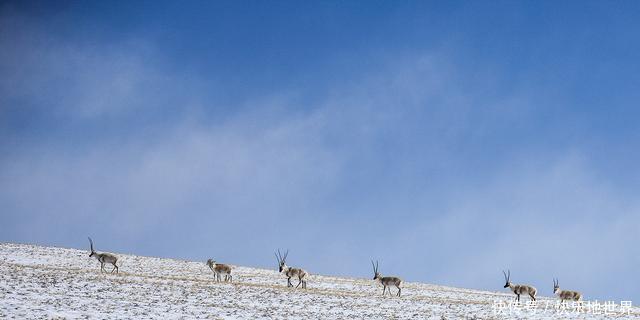 中国面积12万平方公里,人口却只有30万的一座县级市