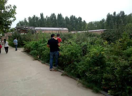 没有出去打工的农民，可以试试这三种工作，不比去城里打工差！