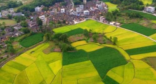  「补贴」2020年，“养老”补贴来了！一类人免交养老保险，农民