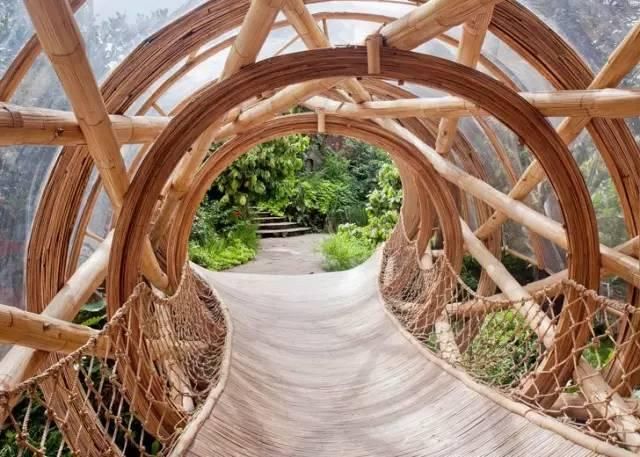 她用竹子建了一个别墅，引来全世界40多个国家围观！