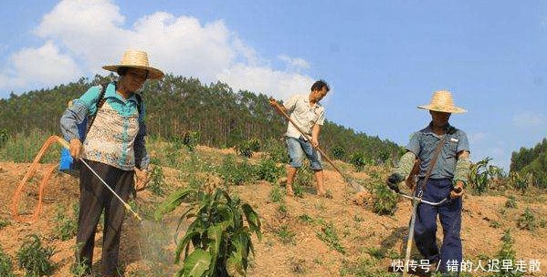 农村这2样东西未来会升值，作用很大，不管你多穷，千万别卖掉！