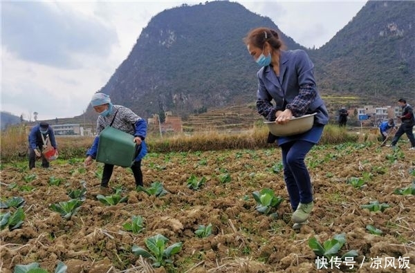「限公司生产车间」春回大地,贵州巾帼防疫生产两不误,田间车间劳作忙