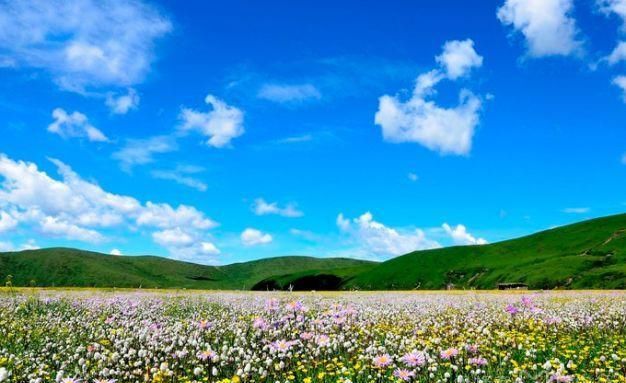  『解封』解封之后都是假期，推进几个说走就走的无病毒景点