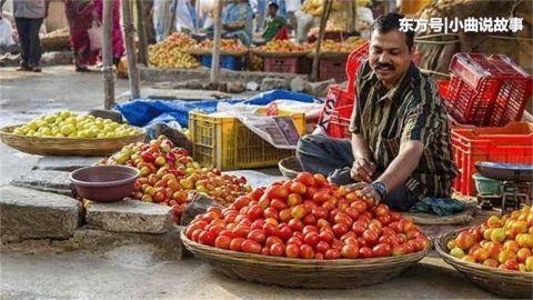 3个国家的菜市场对比，日本整洁，印度脏乱，中国只一字形容