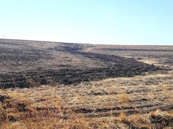 新知丨用秸秆给黑土疗伤