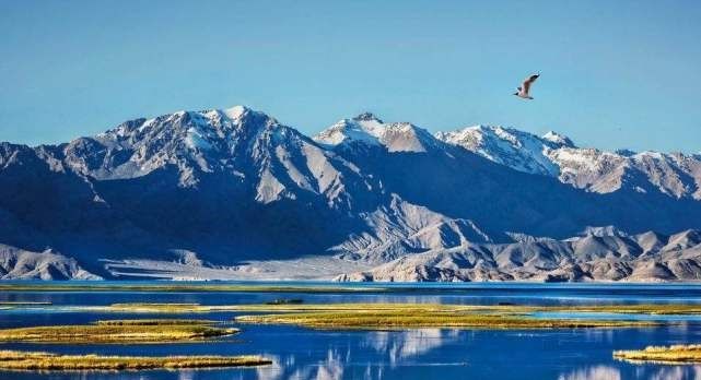 这个湖太偏心，在印度是不毛之地，在中国却是鱼虾肥美鸟语花香