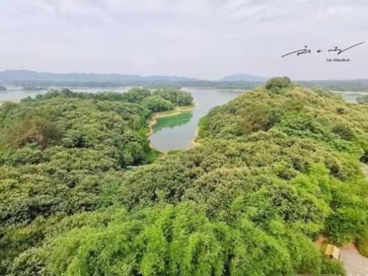  【淮河】“最不像河南”的河南城市，位置不南不北，总被人误以