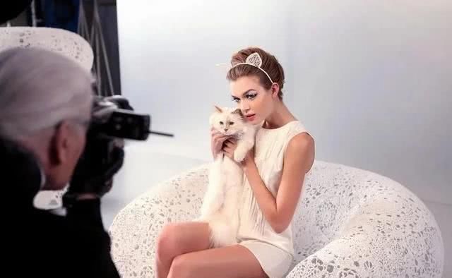  『Choupette』时尚教父“老佛爷”生前养的这只猫，有多幸运就有多难过