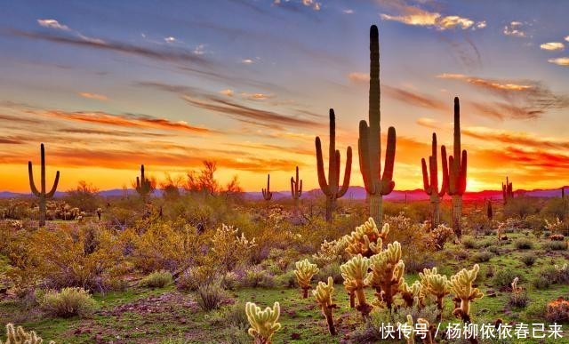 沙漠是如何形成的?地球上最大的“热”沙漠和“冷”沙漠您知道吗