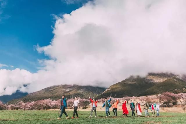 再过一个月，国内这处桃花盛景就要藏不住啦！囊括高原最美雪山！