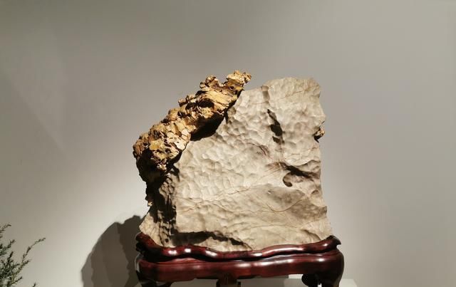 苏州太湖水石艺术馆开馆，最美太湖水石在这里