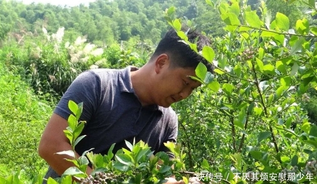  「夸张」不出10年，农村4个行当或将崛起，远比打工强，年赚10万