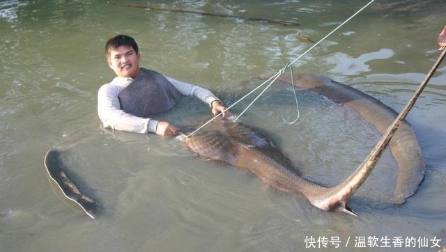 强烈要求李大毛老师停止游钓中国, 远征湄公河降服真正的巨物