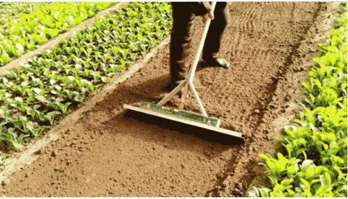  「相关」国家最新政策！户口本上有这4个字速看，这些惠农政策与