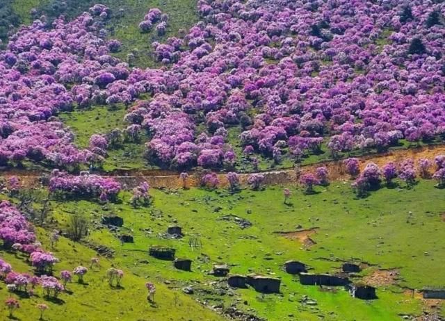 峨眉山的“姊妹山”,藏有世界第一瀑布温泉,景色美不胜收