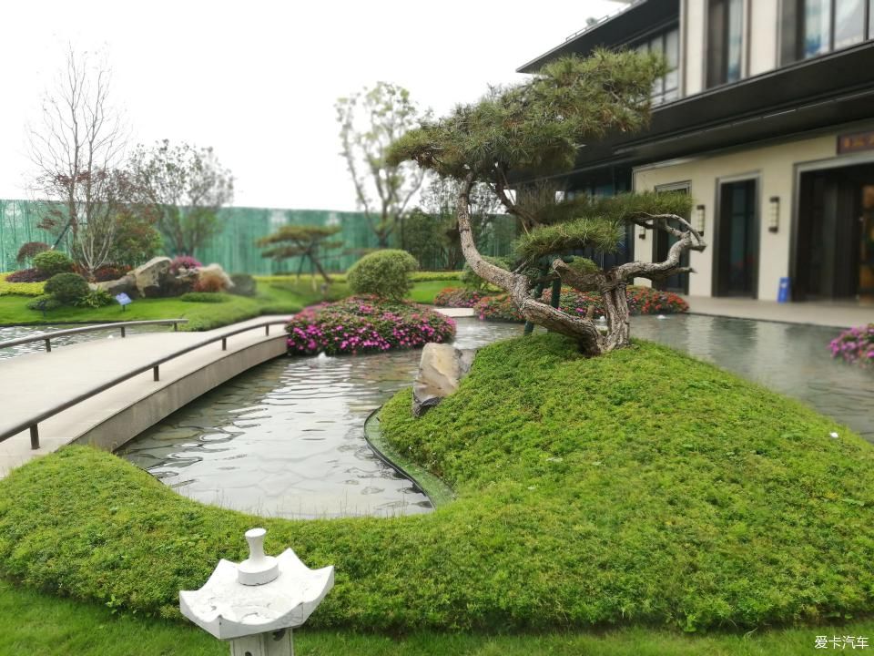 特别:十里春风,打卡滨江公园