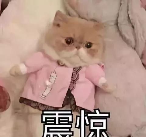 广东自学考试服务网-专注广东自学考试学历服务平台 广东自学考试服务网-专注广东自学考试学历服务平台