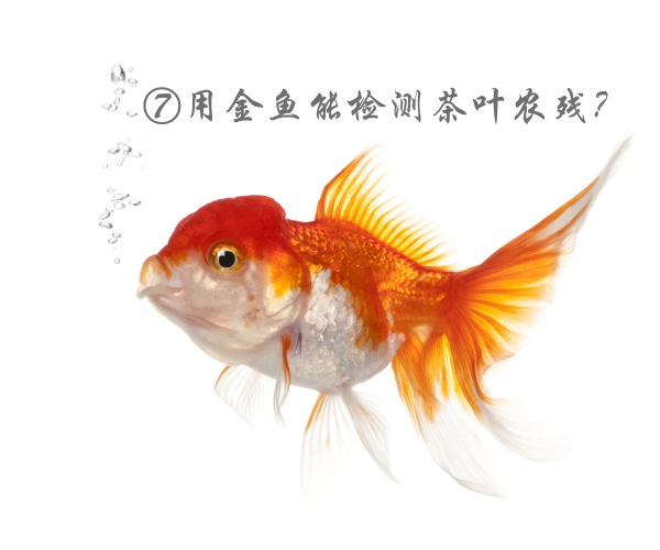 芦荟抗癌、蜂蜜润肠、金鱼测农残?7月科学流言榜,提醒你远离这些