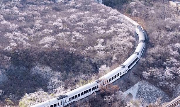 国内最美的三趟火车，游客宁愿永不下车，沉迷在童话中的梦