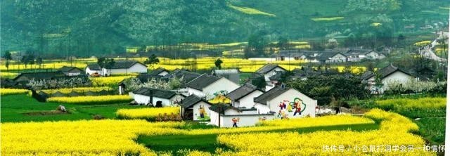  #给出#怎样把农民留在农村？国家给出答案，“三留”措施，可行