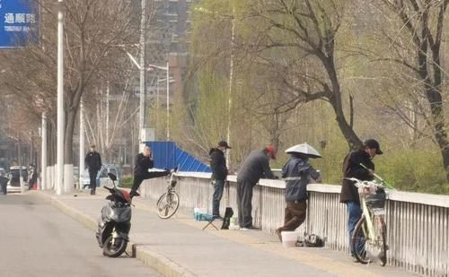  [垂钓]有高度！昨这几人在减河桥上高空垂钓