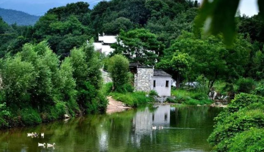  乡村|乡村振兴，让农村闲置用房重焕新生，农业农村部这样说