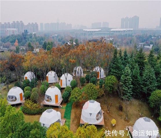 园博园星空帐篷露营