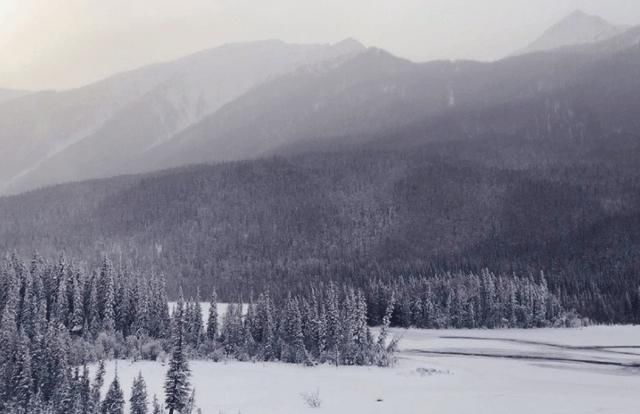 冬日，一定要去往西北，读懂喀纳斯才有的雪季浪漫