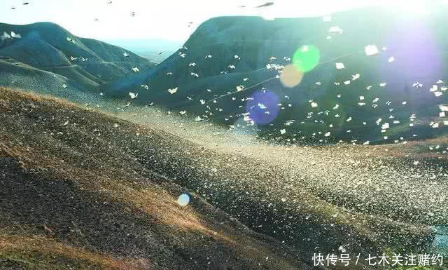  危难|巴基斯坦危难之际，中方果断出手，兄弟齐心，其利断金