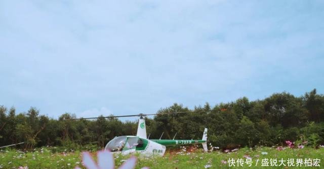 云台山踏秋——立秋后的那一抹姹紫嫣红