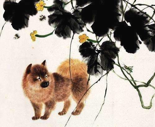 属狗的戴什么招财 属狗怎么招财最好