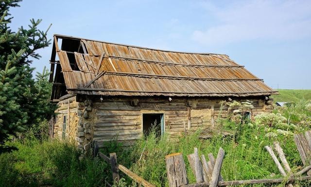  农民：农村新四害你们当地有吗？其中第3害最令人头疼，农民苦不