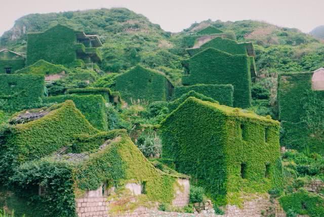 中国被遗弃的最美村落,面朝大海却无人居住,堪称绿野仙踪
