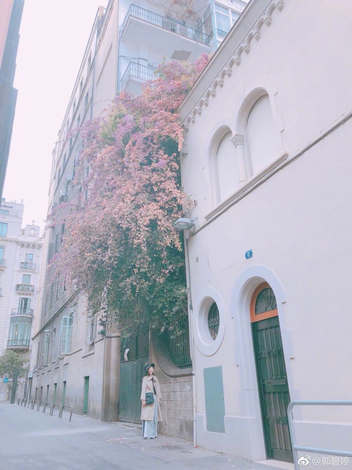 郭碧婷素颜出镜心情好 阔腿裤配风衣诠释初秋时尚