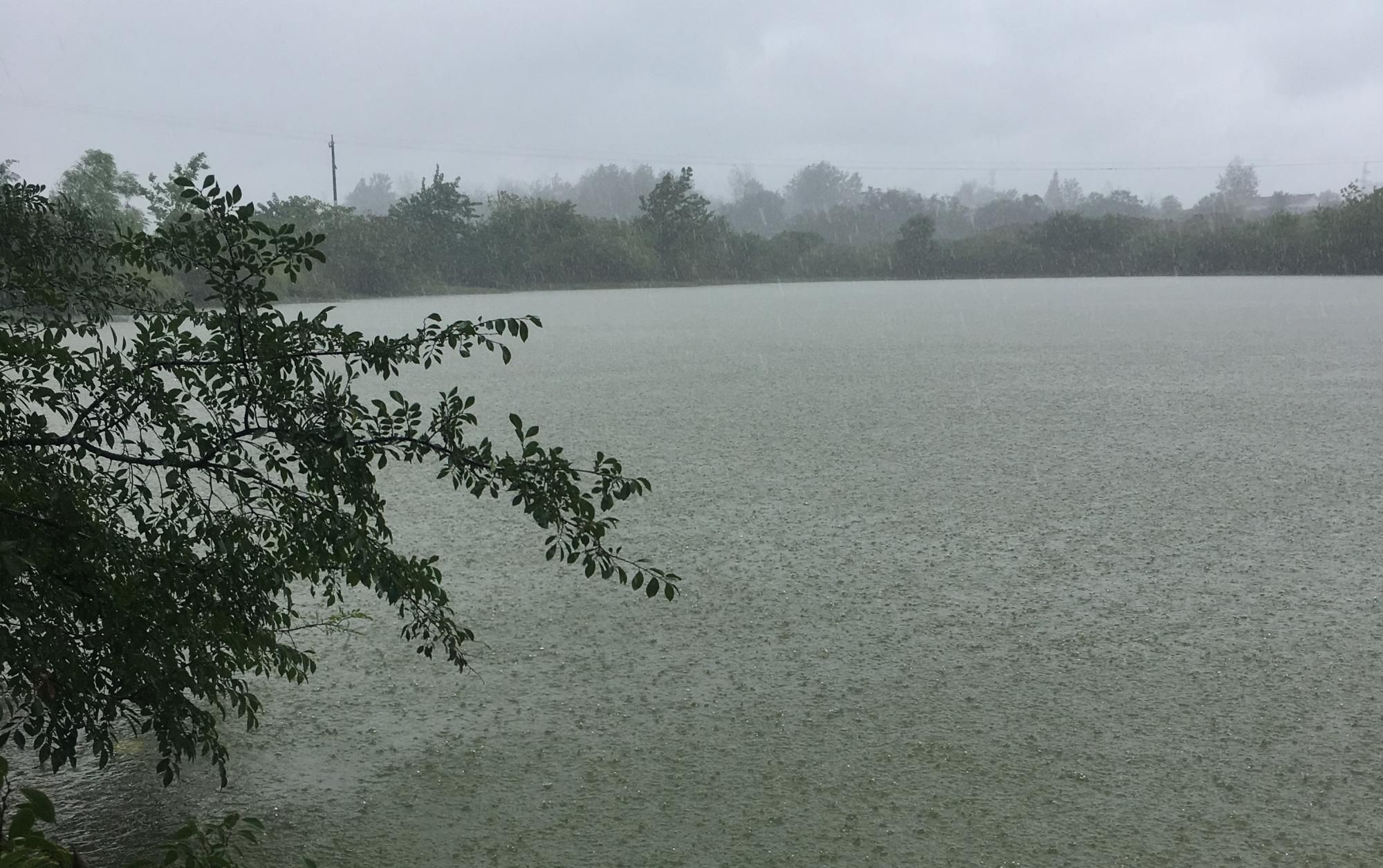  「水体溶氧量」雨后可否出钓？从安全，水温，溶氧量，食物4方面来解析雨后作钓