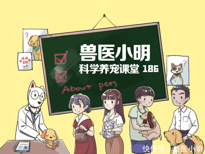  『便宜』化妆品都有平价替代，宠物用品也会有吗？吃土铲屎官看过来