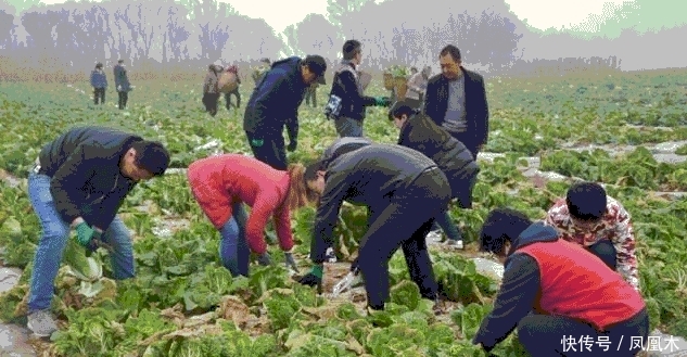 现在的农村，这3行很吃香，不仅能挣钱而且也很体面，村干部都支