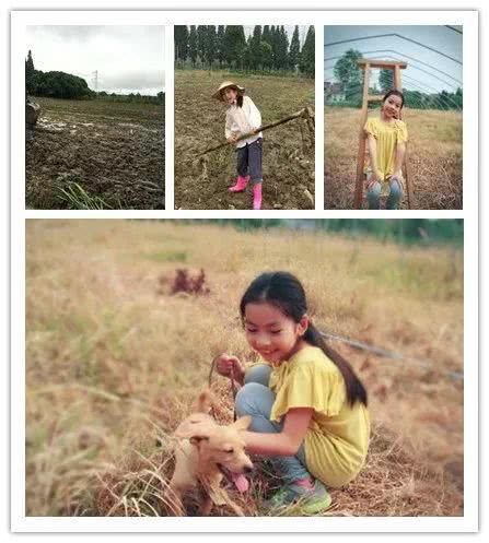  『辞职』从银行辞职做“花农”，她打造的花园超治愈