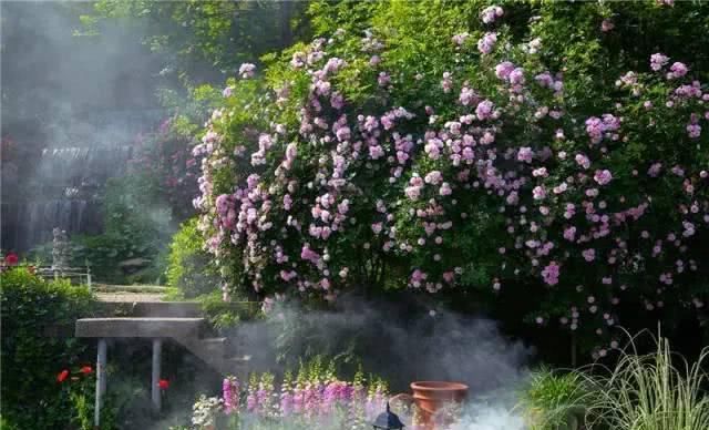 66岁大叔，8年时间打造出了中国最美私家花园，让人叹为观止！