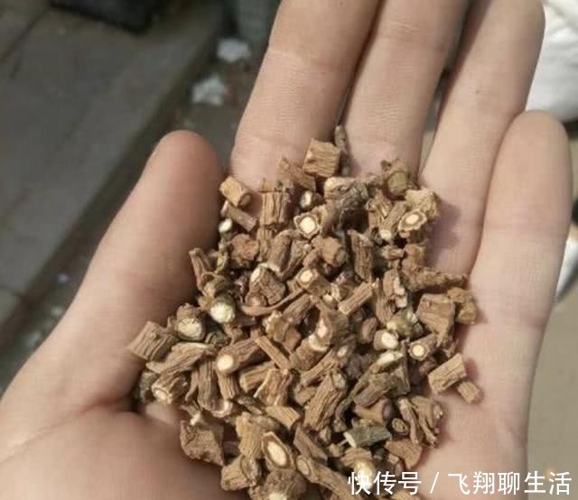  变高■不起眼的“1种野草”，人称“柴胡”，采挖后晾干，价值变高！