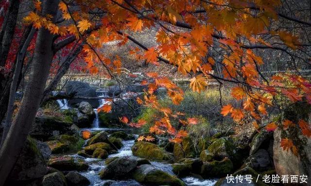 牛背梁 秋色迷人 你来与不来 它都是这么五彩斑斓