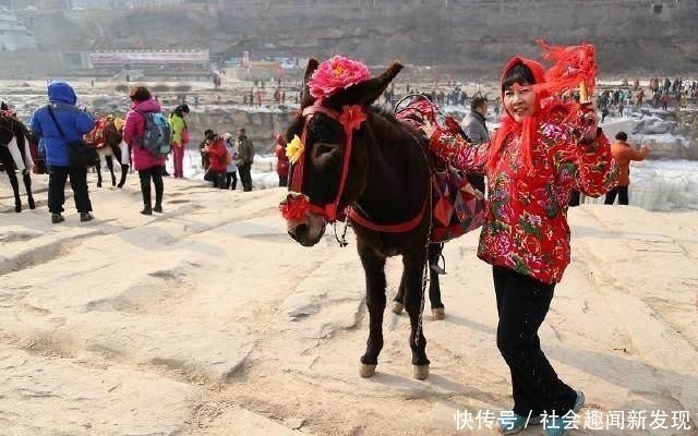  「驴皮」一头驴值上万块，仅驴皮就能卖几千，农村却没人养驴致