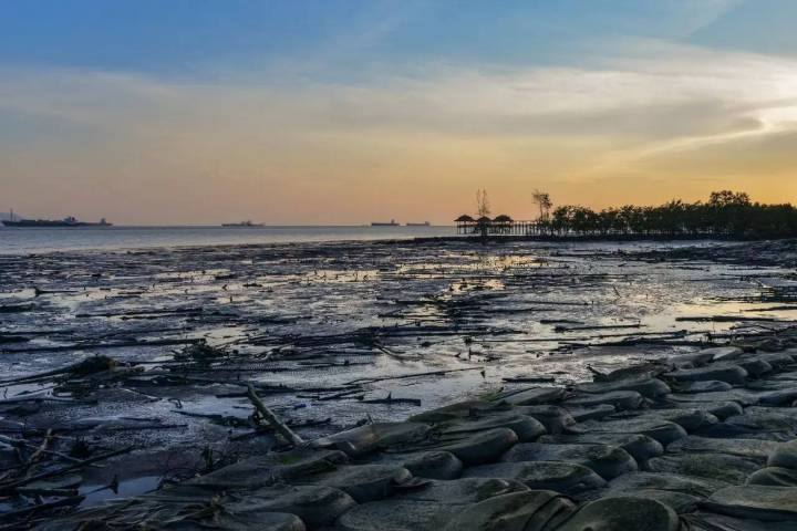 陪你去到世界尽头