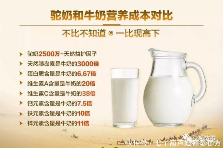 骆驼奶价格