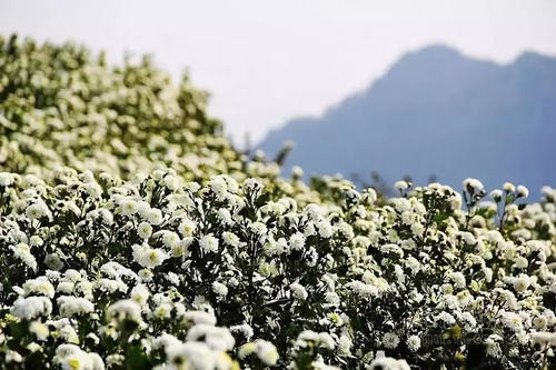 比宏村人少，比篁岭更美！浙江周边藏着一座隐世小村落，拥有最撩