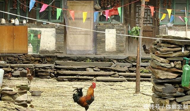 在普通农村中，这些生意投资不大又好做，不妨看看吧！