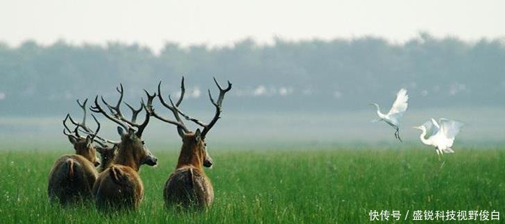 江苏力争2020年开通一条高铁，长约158公里，4市2区迎机遇！