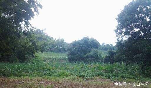 在农村，3种地方以后很值钱，农民朋友要留着，看看你们家有吗