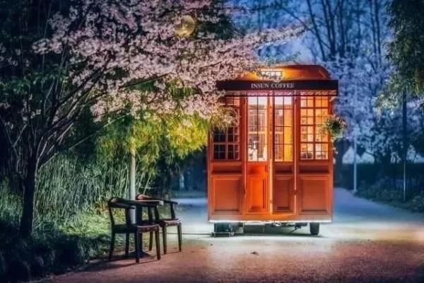 最美樱花季即将到来！沪上赏樱攻略在此