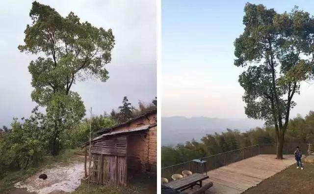  裸辞@40岁竟裸辞，和16个人上山，集体生活！